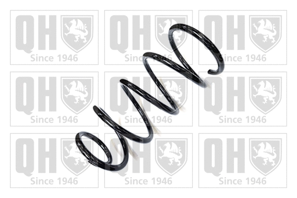 Suspension Spring (QCS7373)