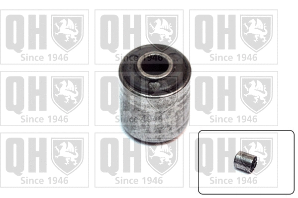 Mounting, control/trailing arm (EMS2183)