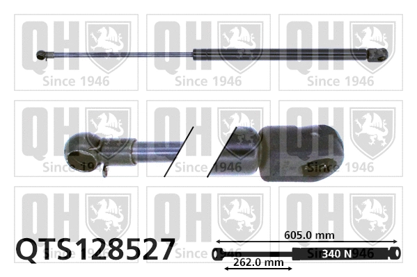 Gas Spring, boot/cargo area (QTS128527)