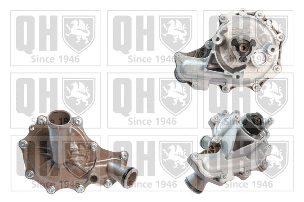 Water Pump, engine cooling (QCP3665BH)