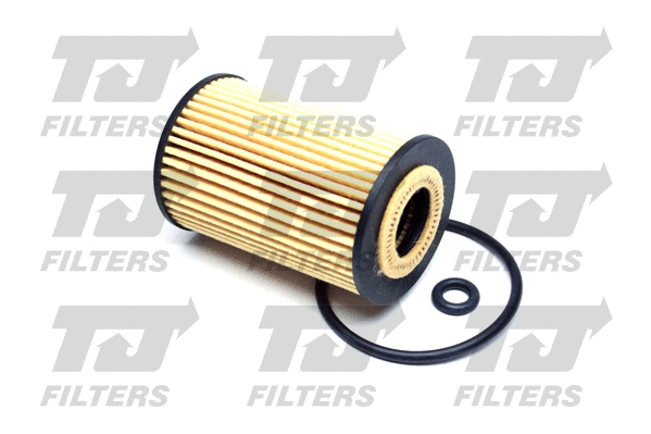 Oil Filter (QFL0119)
