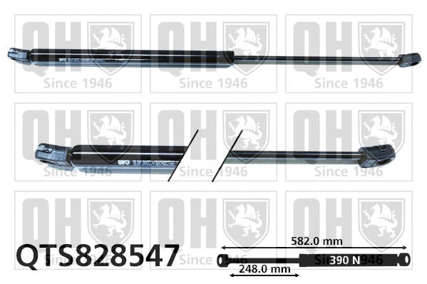 Gas Spring, boot/cargo area (QTS828547)