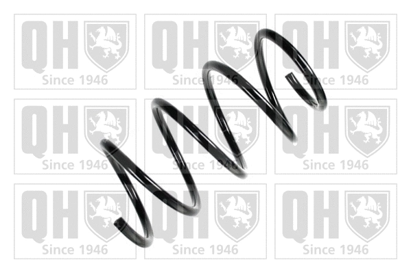 Suspension Spring (QCS5163)