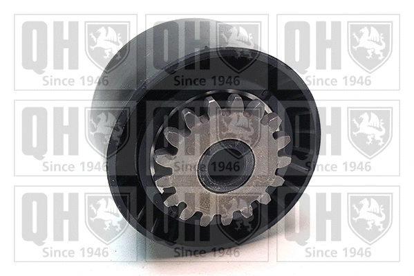 Tensioner Pulley, V-ribbed belt (QTA1369)