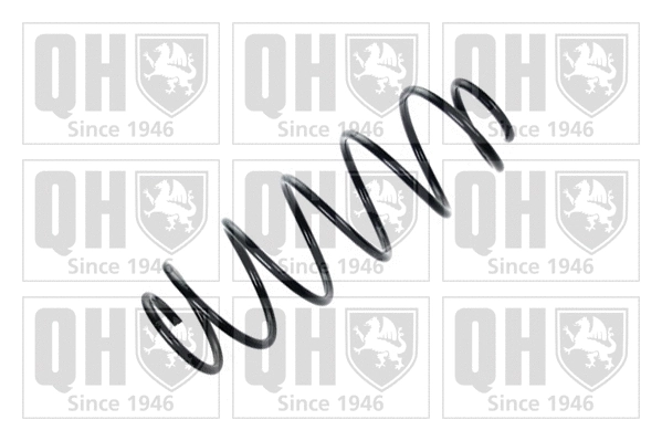 Suspension Spring (QCS6184)