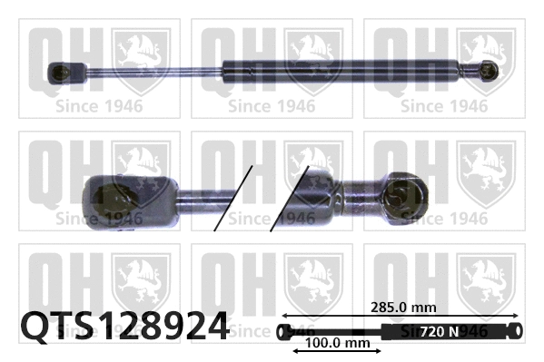 Gas Spring, bonnet (QTS128924)