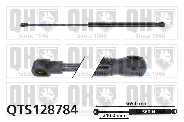 Gas Spring, boot/cargo area (QTS128784)