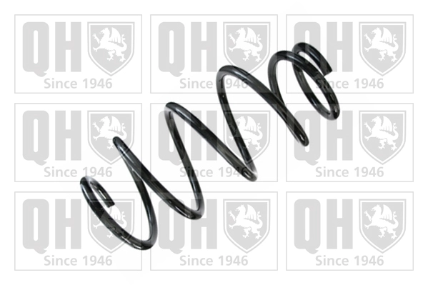 Suspension Spring (QCS8428)