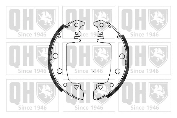 Brake Shoe Set (BS546)