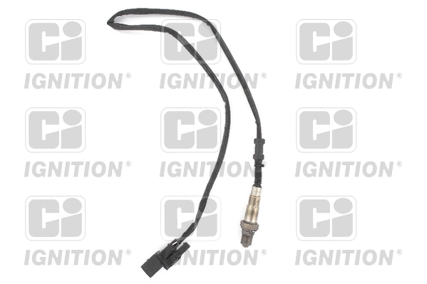 Lambda Sensor (XLOS1772)