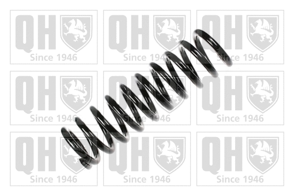 Suspension Spring (QCS6839)