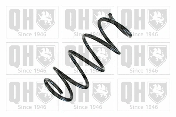 Suspension Spring (QCS9072)