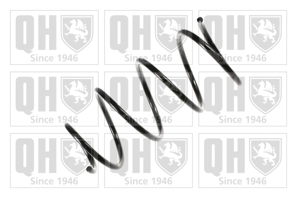 Suspension Spring (QCS5029)