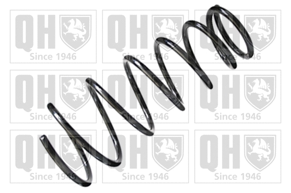 Suspension Spring (QCS6229)
