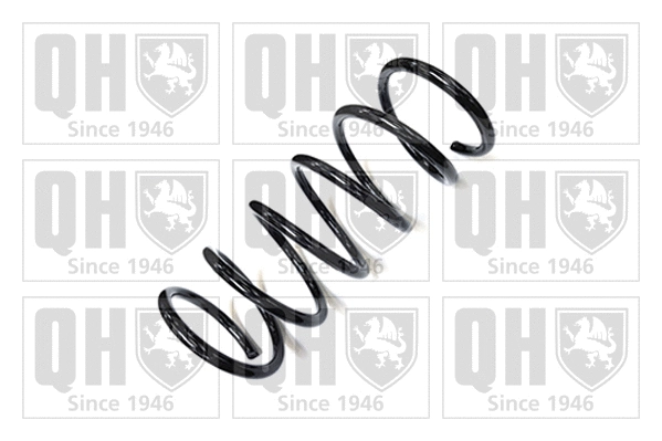 Suspension Spring (QCS5699)