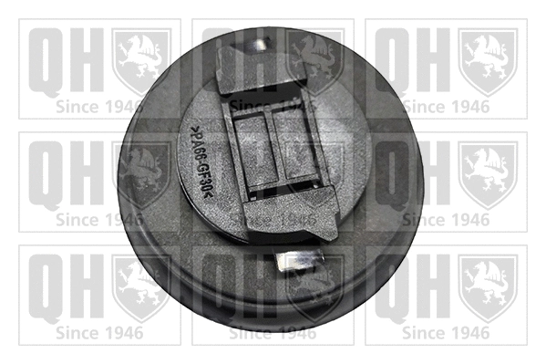 Sealing Cap, oil filler neck (FC586)