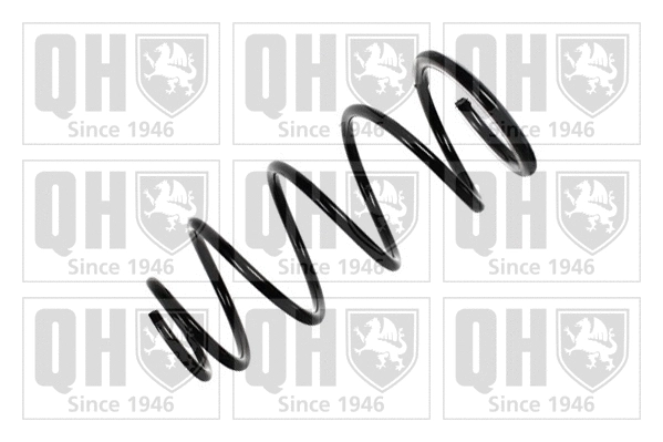 Suspension Spring (QCS6347)