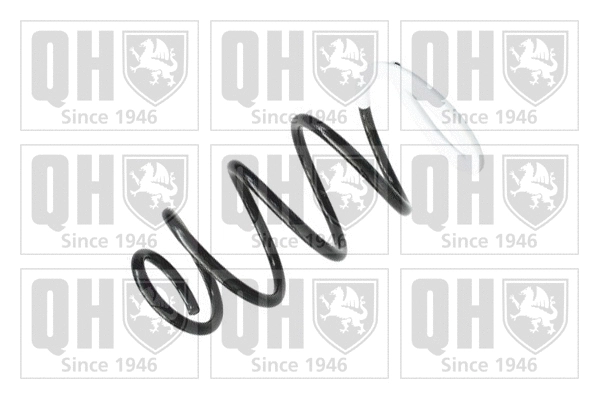 Suspension Spring (QCS7642)