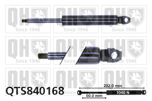 Gas Spring, bonnet (QTS840168)