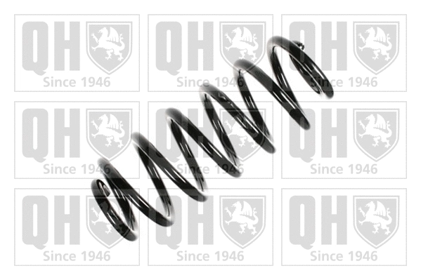 Suspension Spring (QCS5546)