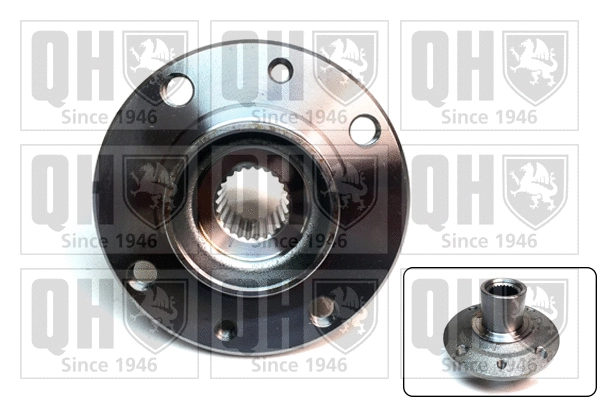 Wheel Hub (QWH170)