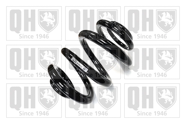 Suspension Spring (QCS6702)