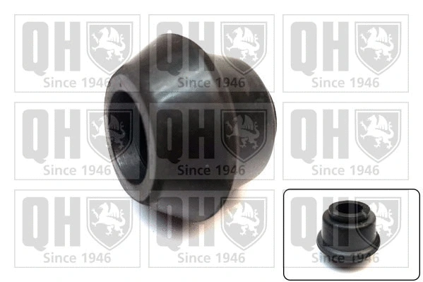 Mounting, control/trailing arm (EMS8286)