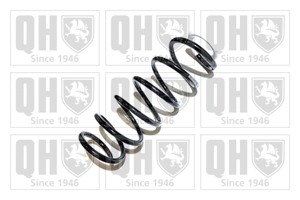 Suspension Spring (QCS6813)
