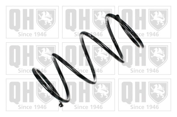 Suspension Spring (QCS5741)