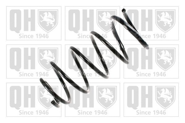 Suspension Spring (QCS8209)