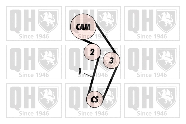 Timing Belt Kit (QBK479)