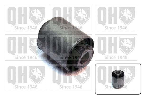 Mounting, control/trailing arm (EMS8541)