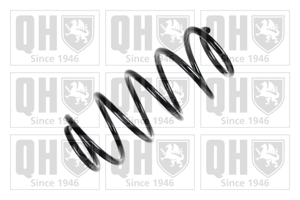 Suspension Spring (QCS7061)