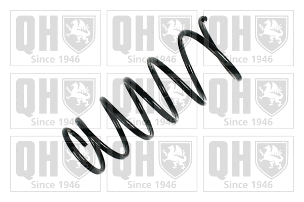 Suspension Spring (QCS5678)