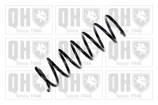 Suspension Spring (QCS6852)
