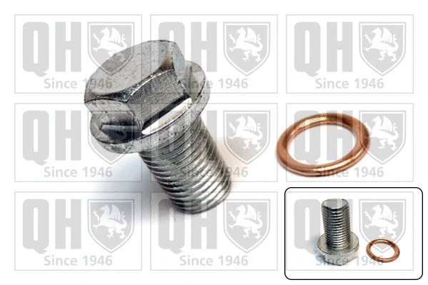 Screw Plug, oil sump (QOC1047)