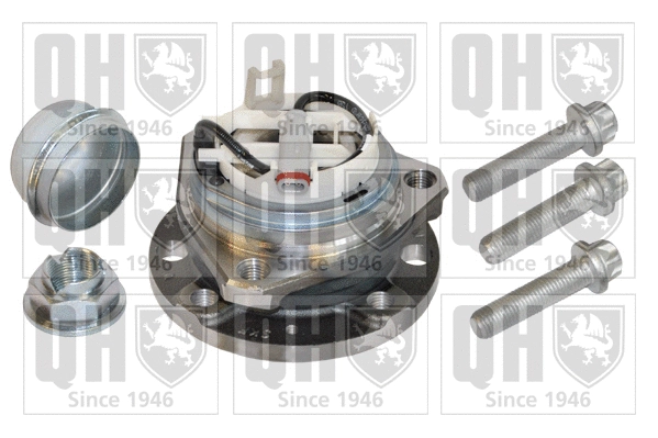 Wheel Bearing Kit (QWB1307)