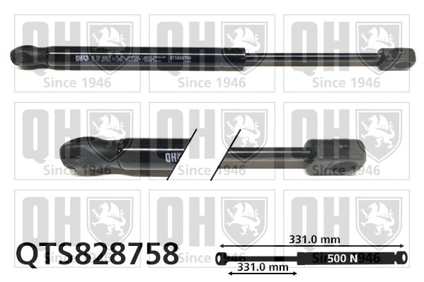Gas Spring, boot/cargo area (QTS828758)