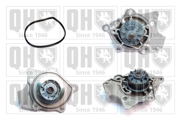 Water Pump, engine cooling (QCP3856)