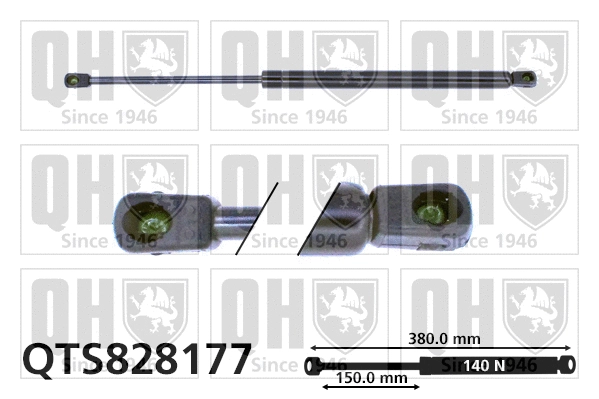 Gas Spring, rear window (QTS828177)