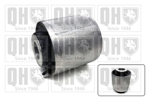 Mounting, control/trailing arm (EMS8718)