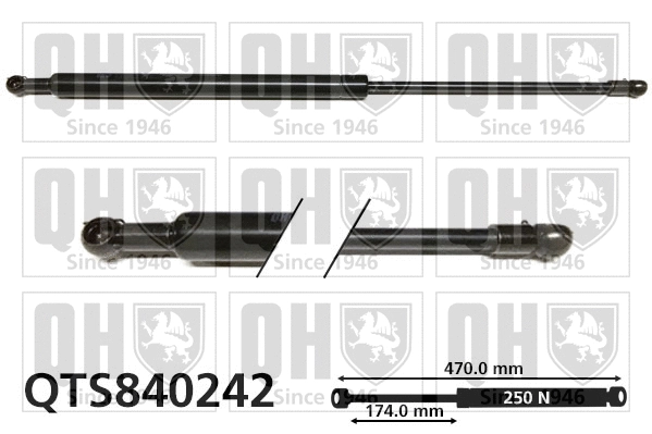 Gas Spring, boot/cargo area (QTS840242)