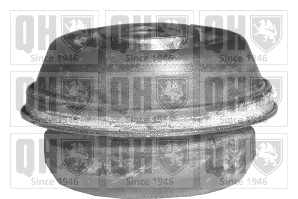 Mounting, control/trailing arm (EMS8125)