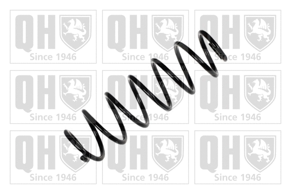 Suspension Spring (QCS7888)