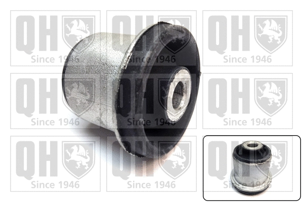 Mounting, control/trailing arm (EMS8580)