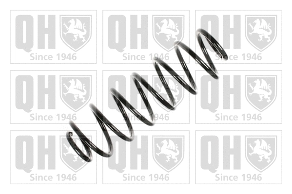 Suspension Spring (QCS6149)