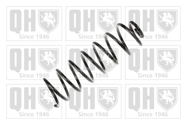 Suspension Spring (QCS7682)