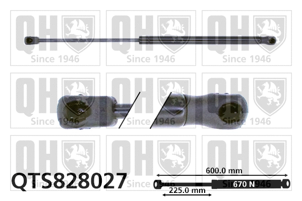 Gas Spring, boot/cargo area (QTS828027)