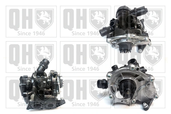 Water Pump, engine cooling (QCP3868BH2)