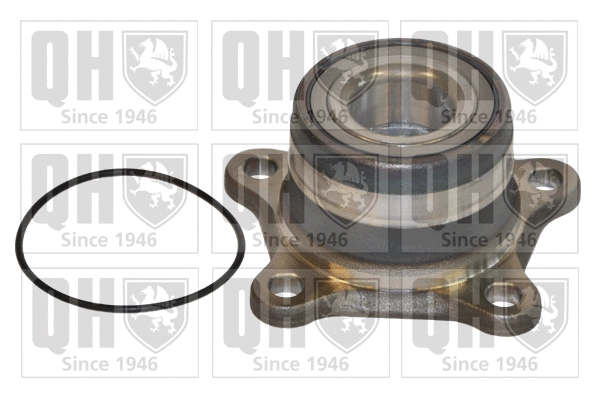 Wheel Bearing Kit (QWB897)